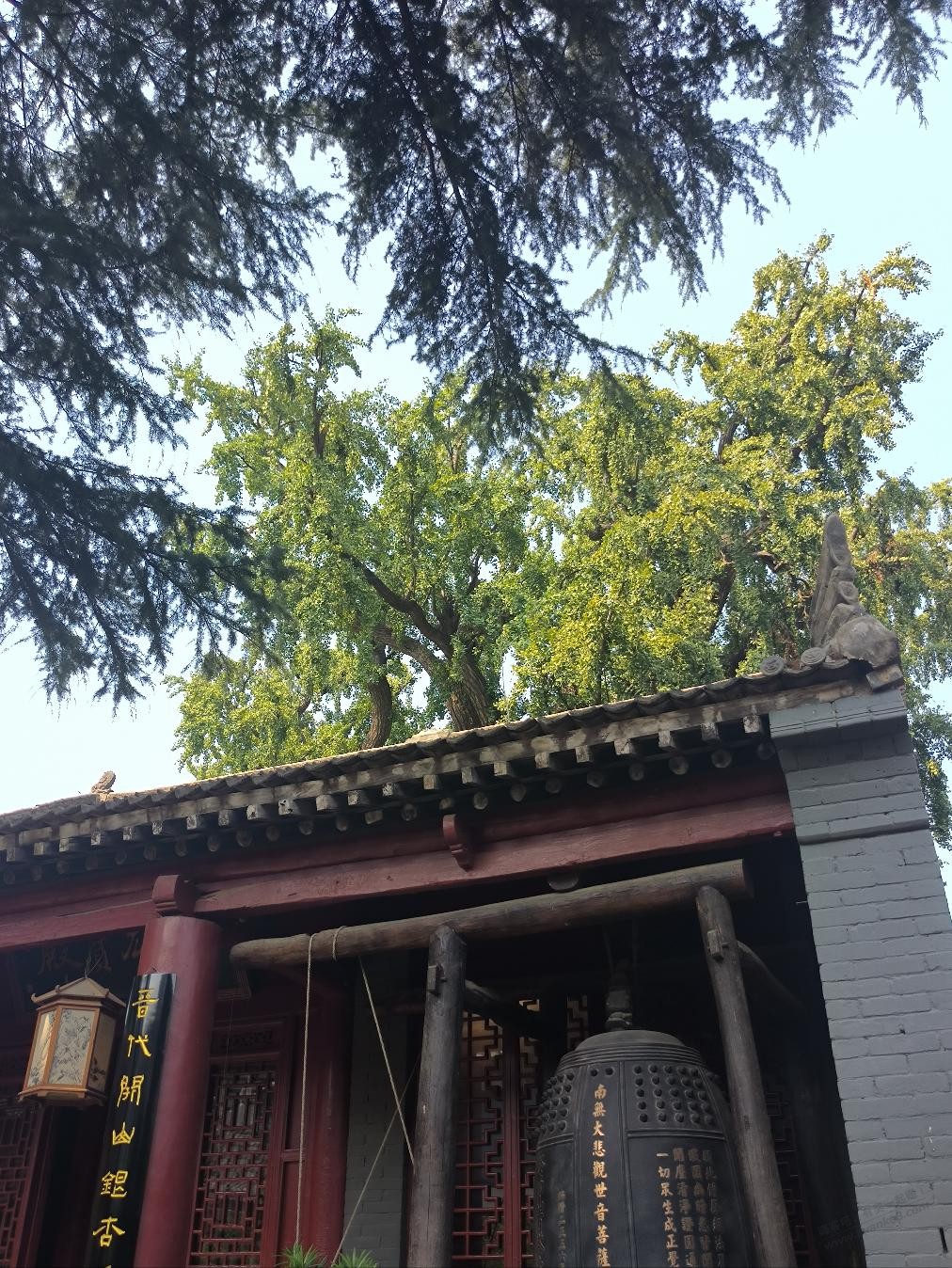 帖子图片