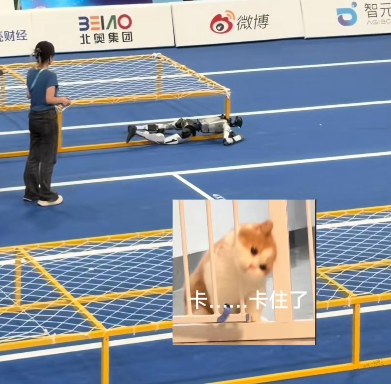 帖子图片