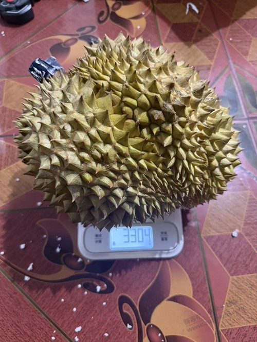 帖子图片